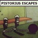 Pistorius Escapes.jpg