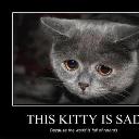 retards make kitty sad.jpg
