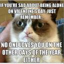 grumpy_cat_valentines_day-1.jpg