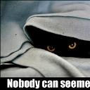 black-cat-hiding-nobody-can-seemeow.jpg