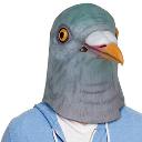 Pigeon-Mask.jpg