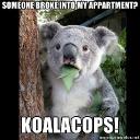 koalacops.jpg