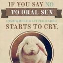 Dont say no to oral sex.jpg